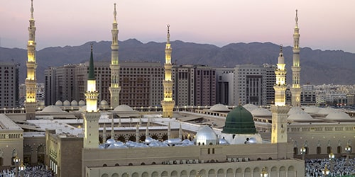 أبو ظبي - المدينة المنورة